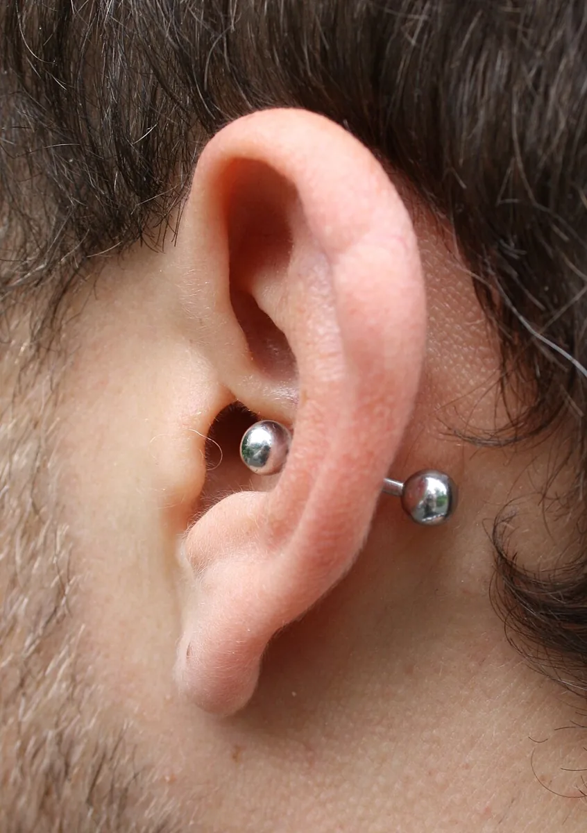 Barbell through the inner bowl of the ear — reference photo
