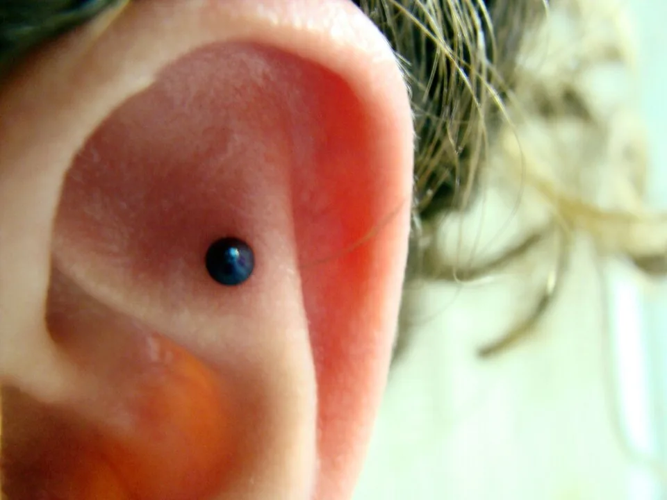 Stud in the flat cartilage of the upper ear — reference photo