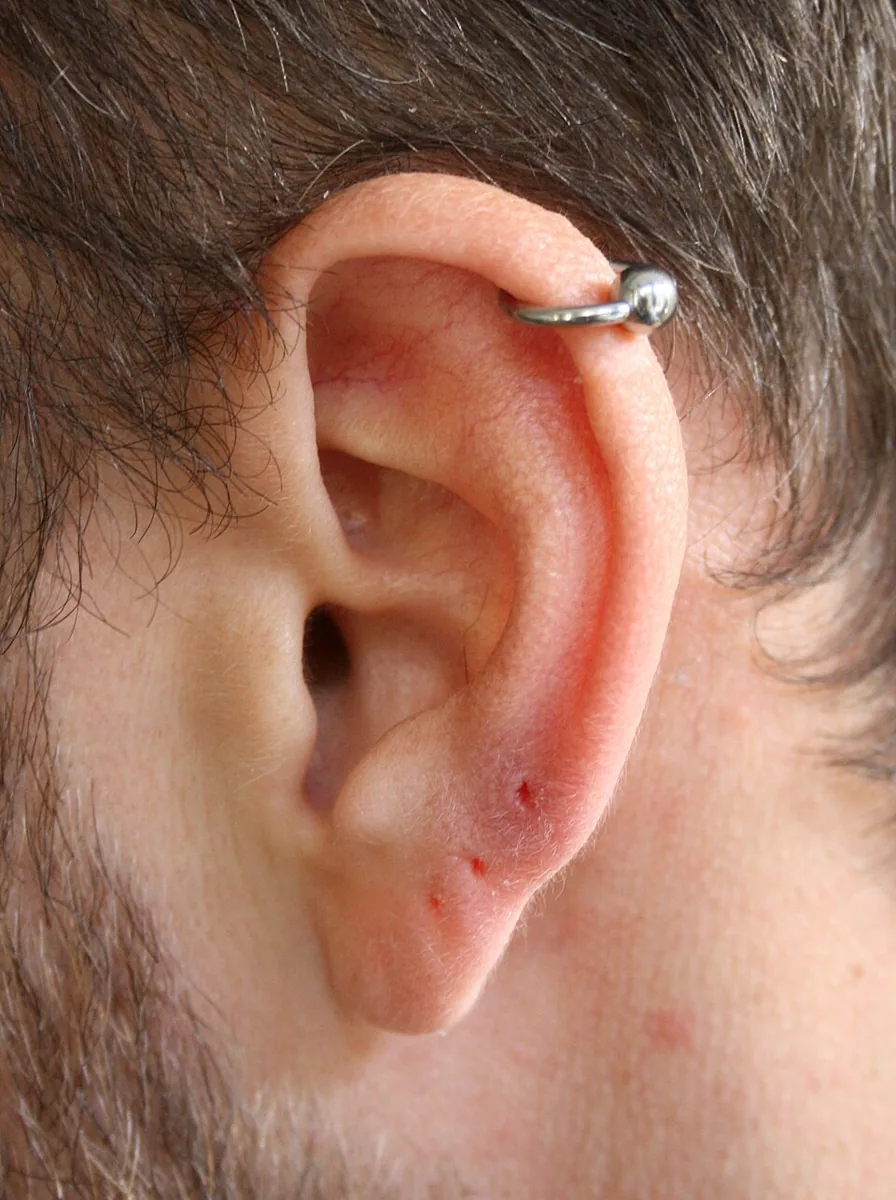 Silver jewellery through the upper outer ear rim — reference photo