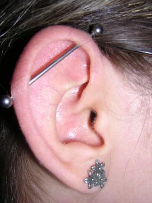 Straight barbell connecting two upper ear piercings — reference photo