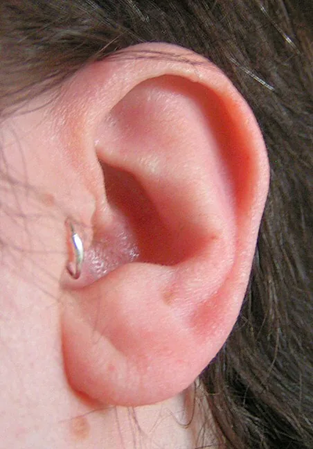 Small ring through the tragus beside the ear canal — reference photo